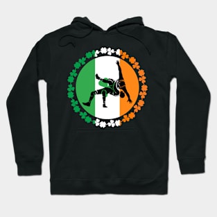 Capoeira Ireland Flag St. Patrick's Day Hoodie